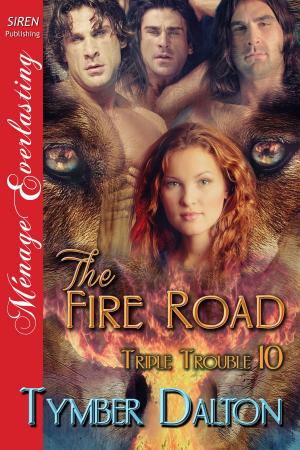 Cover of the book The Fire Road by Tonya Ramagos