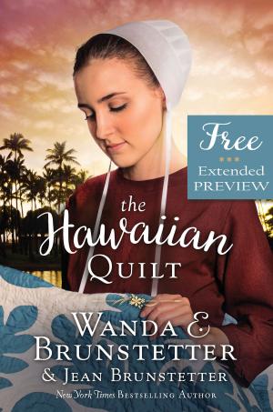Book cover of The Hawaiian Quilt (FREE PREVIEW)