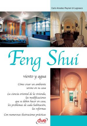 Cover of the book Feng Shui: viento y agua by Anna Prandoni, Fabio Zago