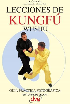Cover of the book Lecciones de Kung Fu by Patrick Dr. Delaroche