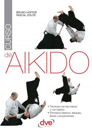 Cover of the book Curso de aikido by Stefano Di Marino, Roberto Ghetti
