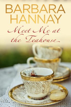 Cover of the book Meet Me at the Teahouse by David Goldberg, John Rayner