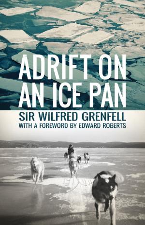 Cover of the book Adrift on an Ice Pan by Bill Rowe