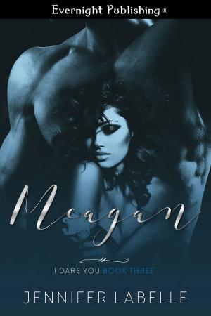 Cover of the book Meagan by Angelique Voisen