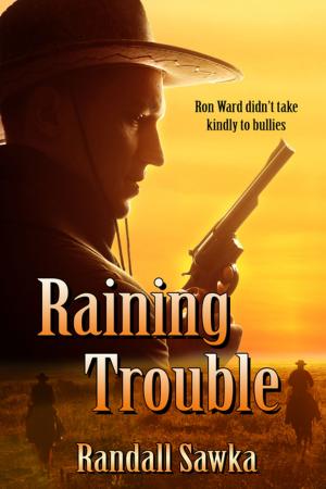 bigCover of the book Raining Trouble by 