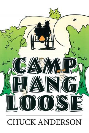 Book cover of Camp Hang Loose