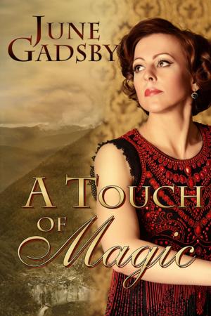 Book cover of A Touch of Magic