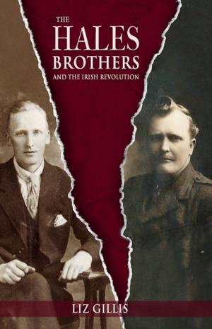 Cover of the book The Hales Brothers and the Irish Revolution by Joanne Hession, Joan Baker