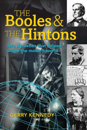 Cover of the book The Booles and the Hintons: two dynasties that helped shape the modern world by Joan McCarthy, Mary  Donnelly, Dolores  Dooley, David Smith, Louise Campbell  Campbell