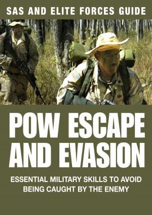 Cover of the book POW Escape And Evasion by Lisa Regan