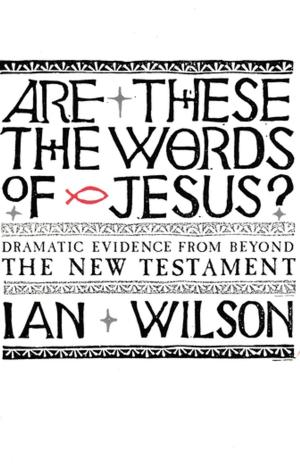 Cover of the book Are these the Words of Jesus? by Anthony Richards