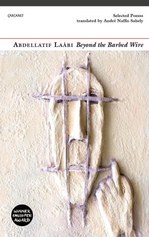 Cover of the book Beyond the Barbed Wire by Frederic Raphael
