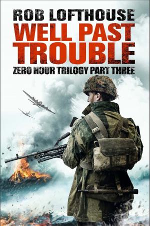 Cover of the book Zero Hour Trilogy: Well Past Trouble by Erika Mailman
