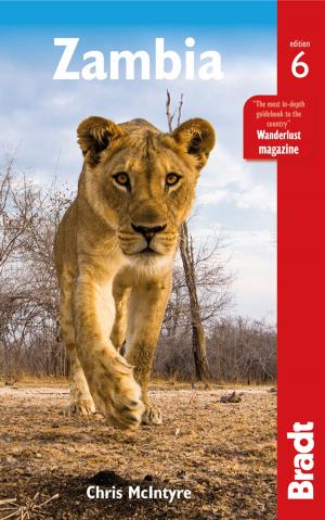 bigCover of the book Zambia by 