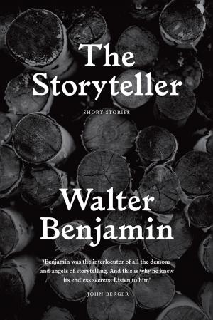 Cover of the book The Storyteller by Spain Rodriguez, Sarah Seidman