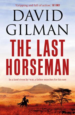 bigCover of the book The Last Horseman by 