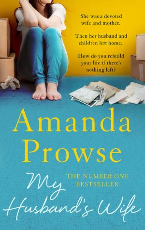 bigCover of the book My Husband's Wife by 