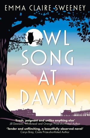 Cover of Owl Song at Dawn