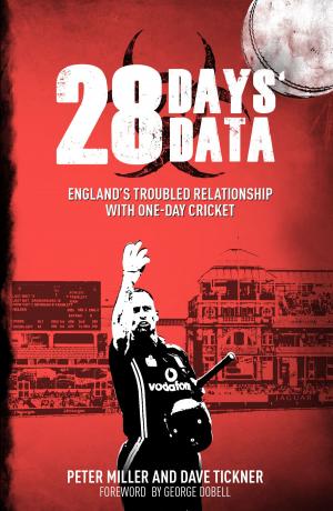 Cover of the book 28 Days' Data by Steve Tongue