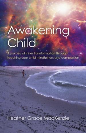Cover of the book Awakening Child by N. E. David