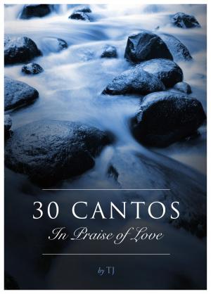 Cover of the book 30 Cantos In Praise of Love by Martin Dufell