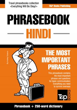 Cover of the book English-Hindi phrasebook and 250-word mini dictionary by Andrey Taranov