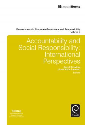 Cover of the book Accountability and Social Responsibility by 