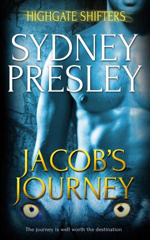 Cover of the book Jacob’s Journey by AKM Miles