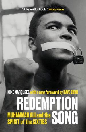 Cover of the book Redemption Song by MJ Sparks