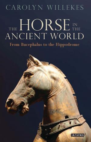 Book cover of The Horse in the Ancient World