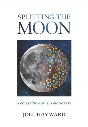 Cover of the book Splitting the Moon by Fawzia Gilani