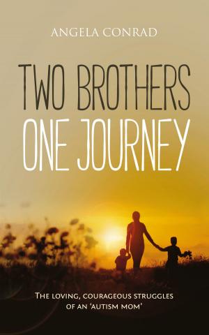 Cover of the book Two Brothers, One Journey by Richard Parsons