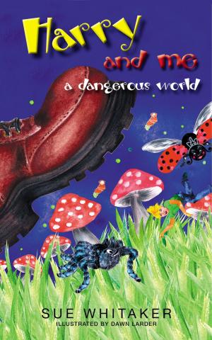 Cover of the book Harry and Me A Dangeruous World by Melissa McClone