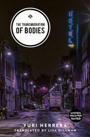 Cover of the book The Transmigration of Bodies by Carlos Gamerro