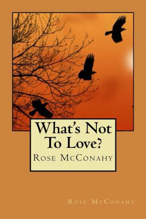 Cover of the book What's Not To Love? by Allison Smith
