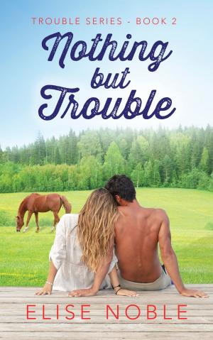 Cover of the book Nothing but Trouble by Novalee Swan