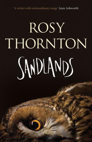 bigCover of the book Sandlands by 