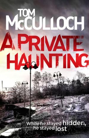 Book cover of A Private Haunting