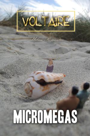 Cover of the book Micromegas by Molière