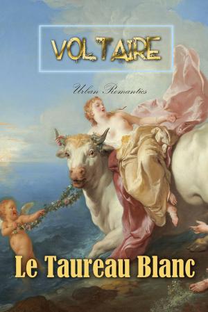 Cover of Le Taureau Blanc