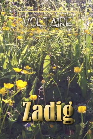 Cover of the book Zadig by Edith Nesbit