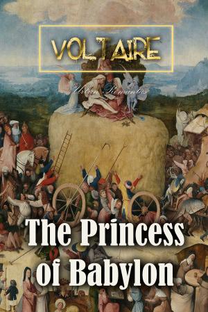 Cover of the book The Princess of Babylon by Jonathan Swift