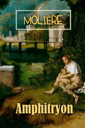 Cover of the book Amphitryon by Paul Alan Fahey