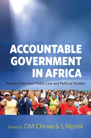 Cover of the book Accountable Government in Africa by Jennifer Thomson