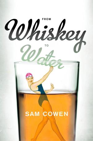 Cover of the book From Whiskey to Water by David Coltart