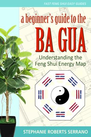 Cover of the book A Beginner's Guide to the Ba Gua: Understanding the Feng Shui Energy Map by Angela Carbajal Detloff