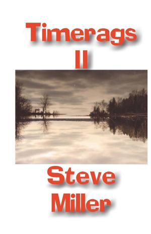 Cover of the book TimeRags II by Sharon Lee, Steve Miller