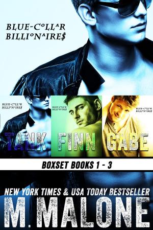 Cover of the book Blue-Collar Billionaires Boxset #1-3 by Cybill Cain