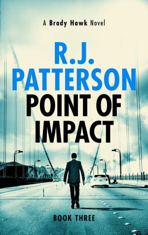 Cover of the book Point of Impact by Greg Hayes