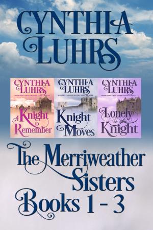 Cover of the book Merriweather Sisters Medieval Time Travel Romance Boxed Set Books 1-3 by J.C. Treeson